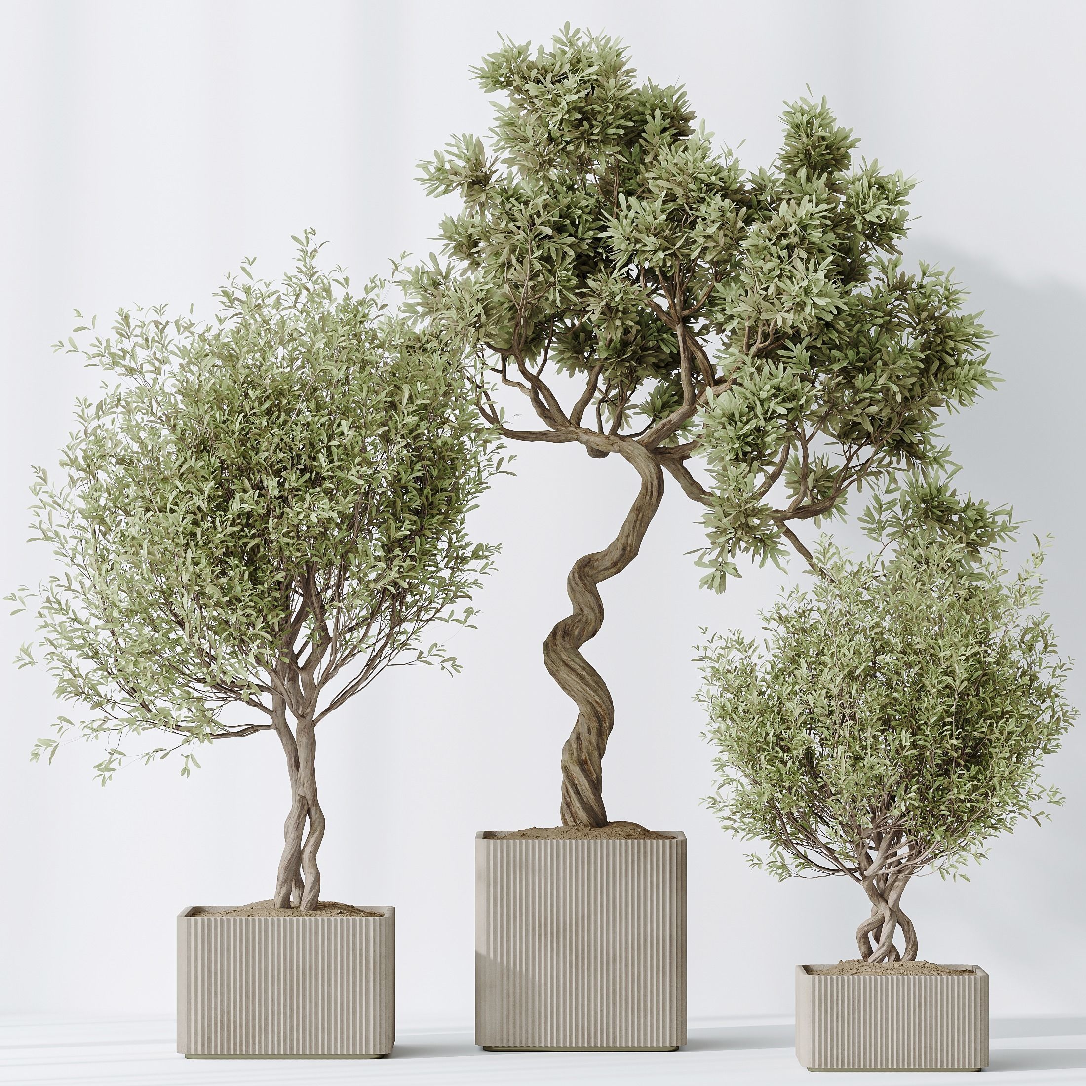 12 Different SETS of Plant Indoor SET VOL154 3D Model Collection_26