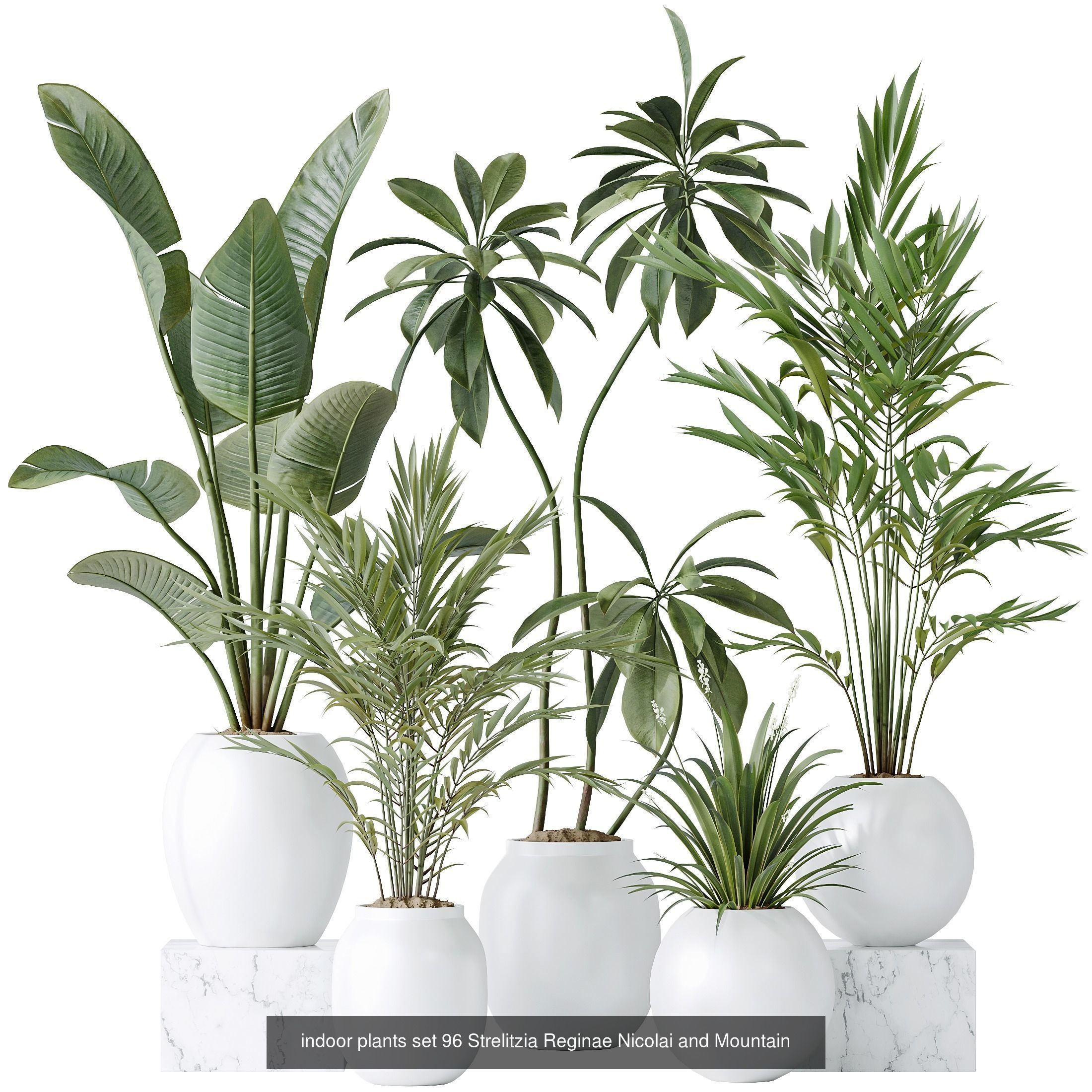 12 Different SETS of Plant Indoor SET VOL154 3D Model Collection_4
