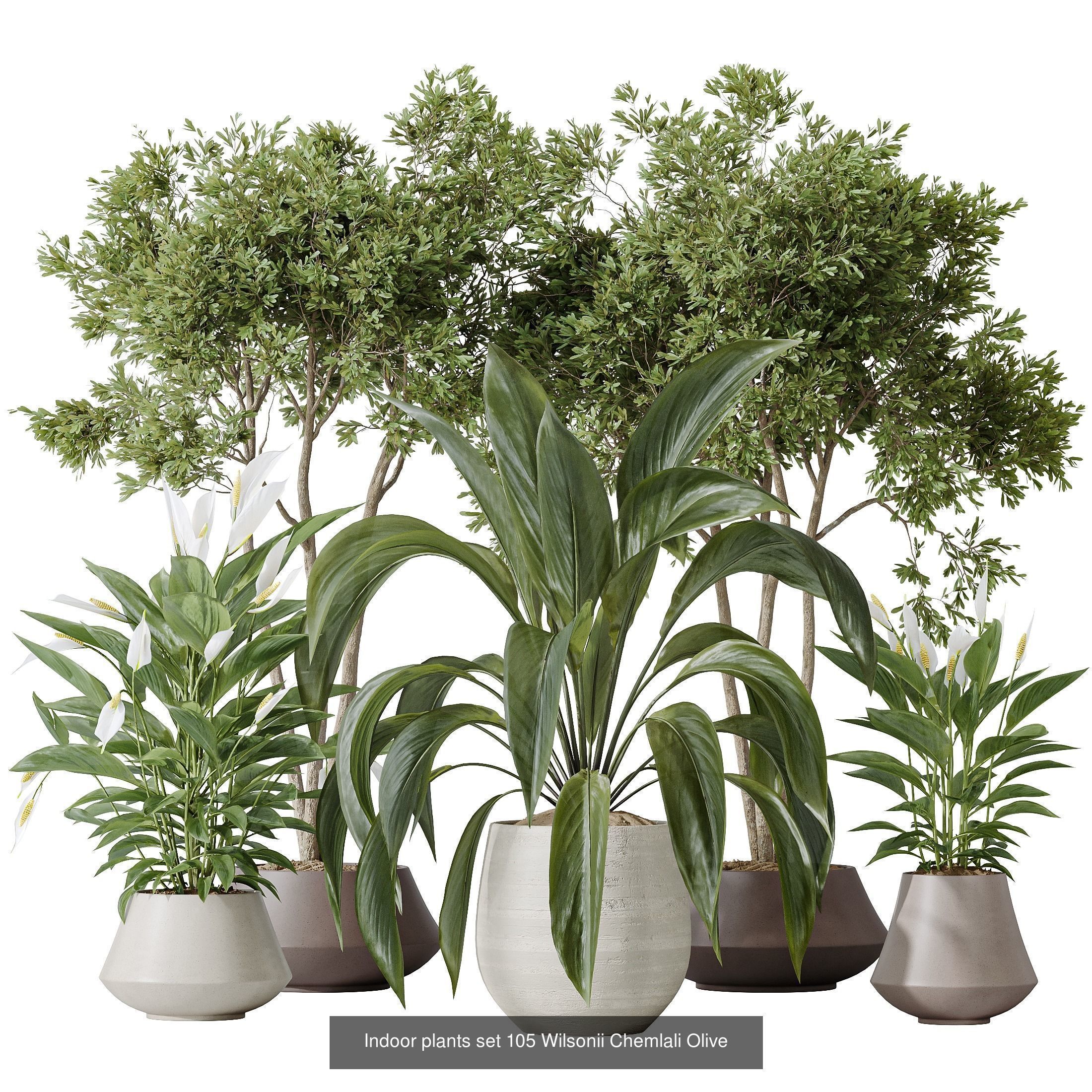 12 Different SETS of Plant Indoor SET VOL154 3D Model Collection_12