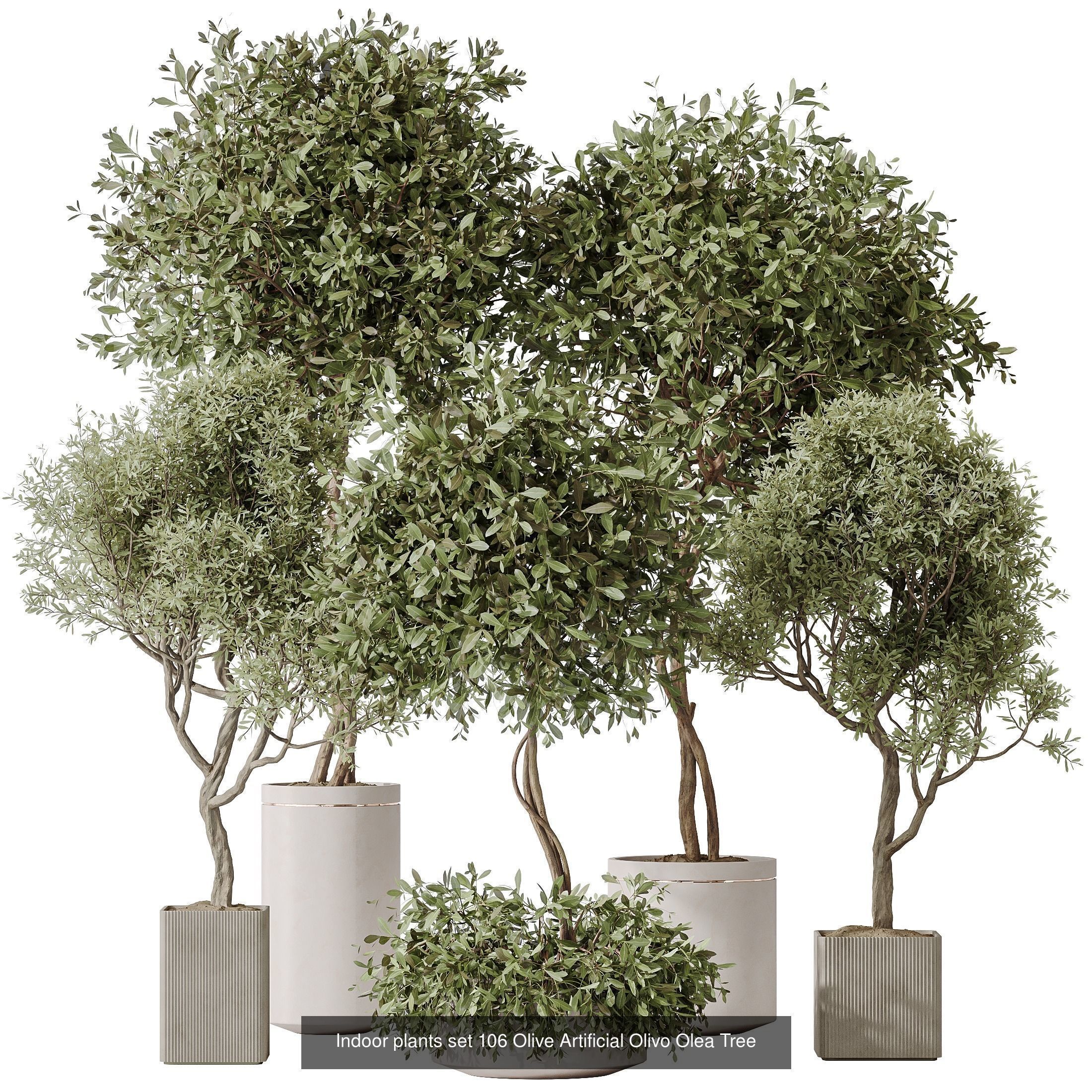 12 Different SETS of Plant Indoor SET VOL154 3D Model Collection_13