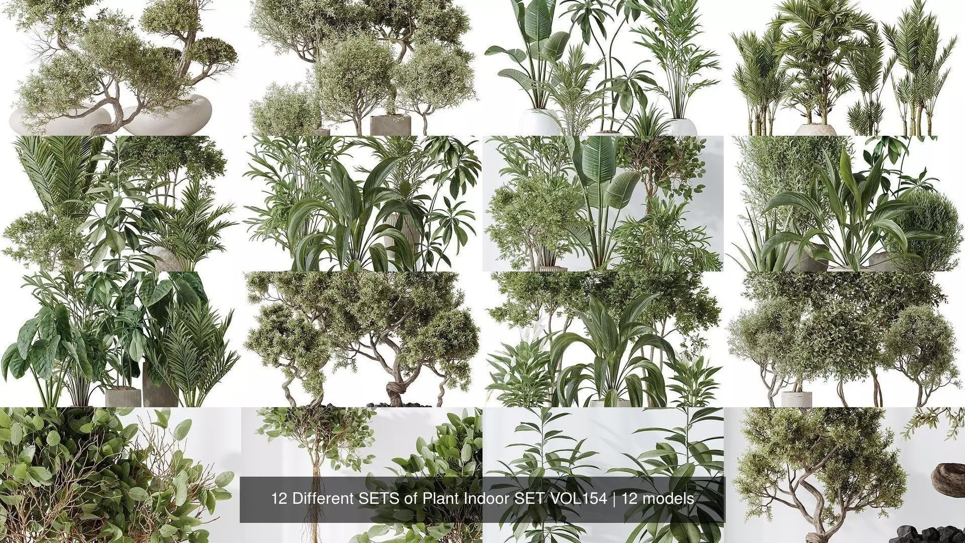 12 Different SETS of Plant Indoor SET VOL154 3D Model Collection_1