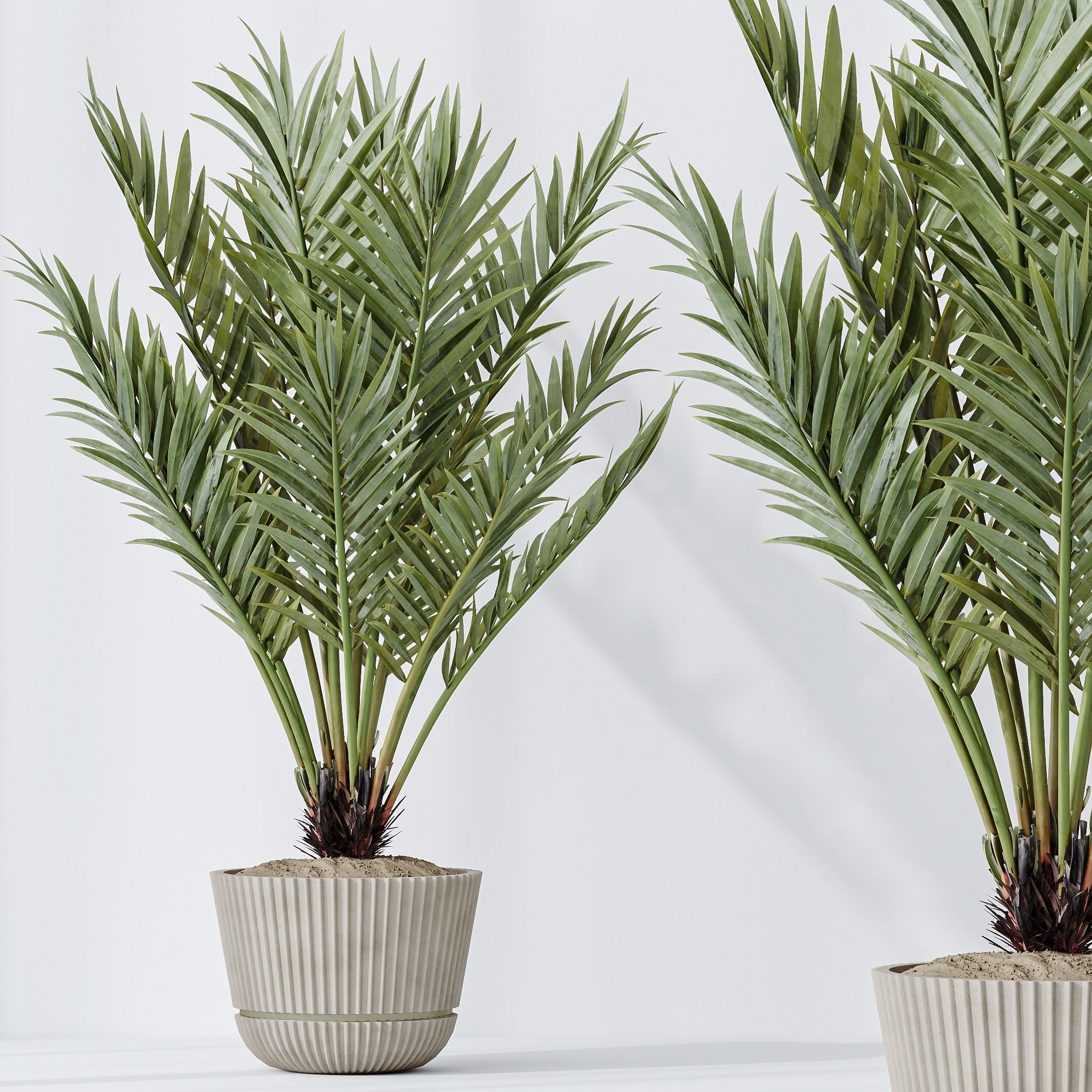 12 Different SETS of Plant Indoor SET VOL154 3D Model Collection_45