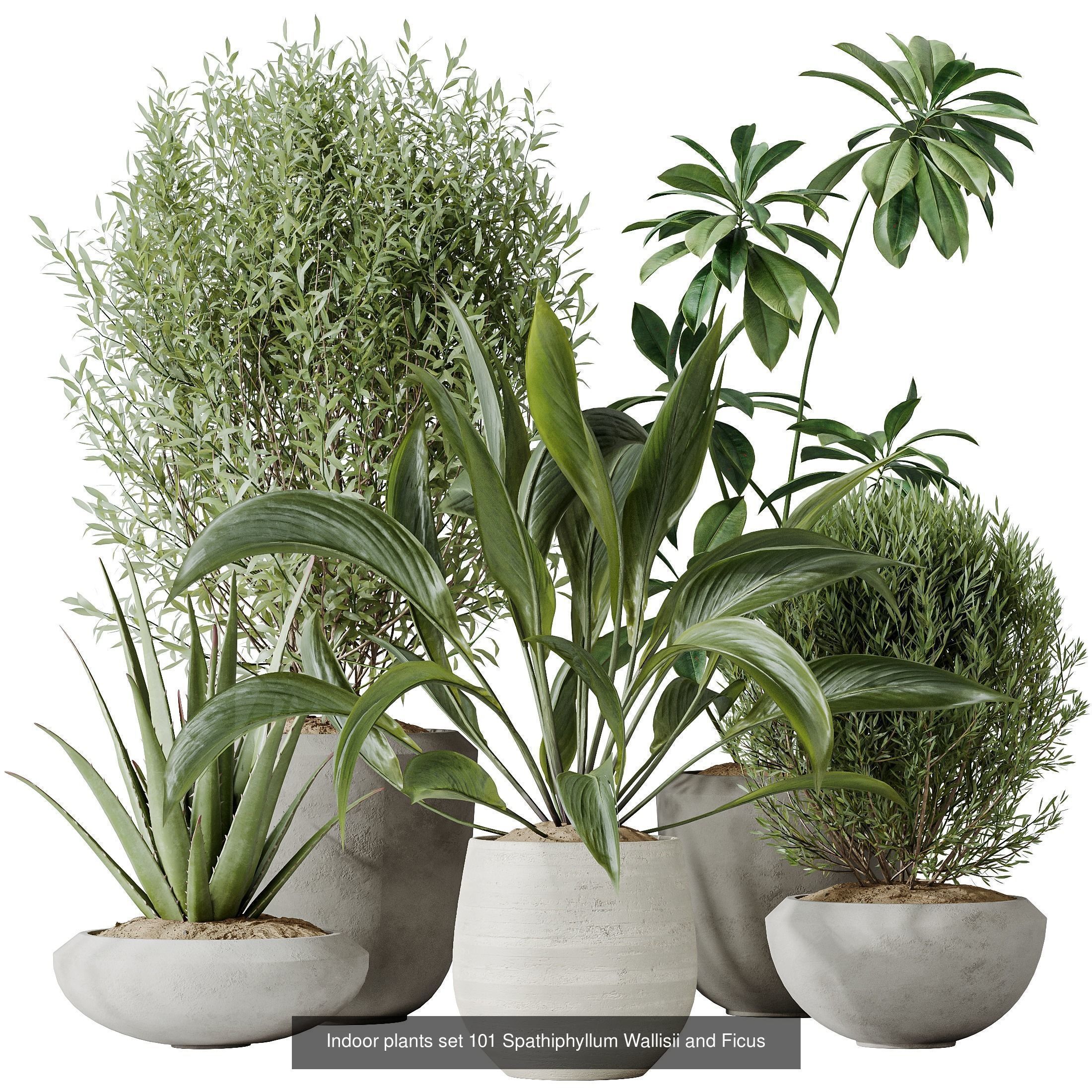 12 Different SETS of Plant Indoor SET VOL154 3D Model Collection_9