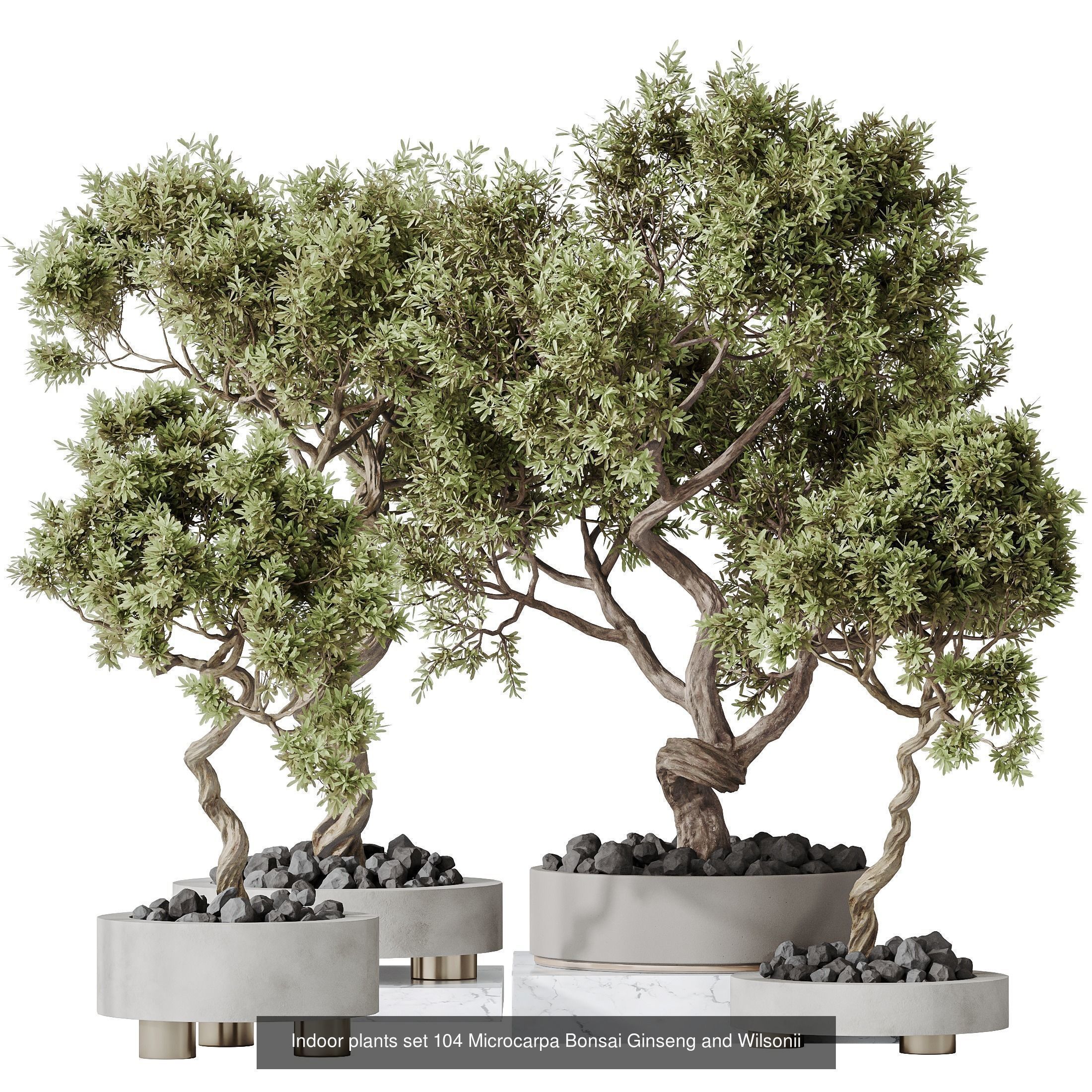 12 Different SETS of Plant Indoor SET VOL154 3D Model Collection_11