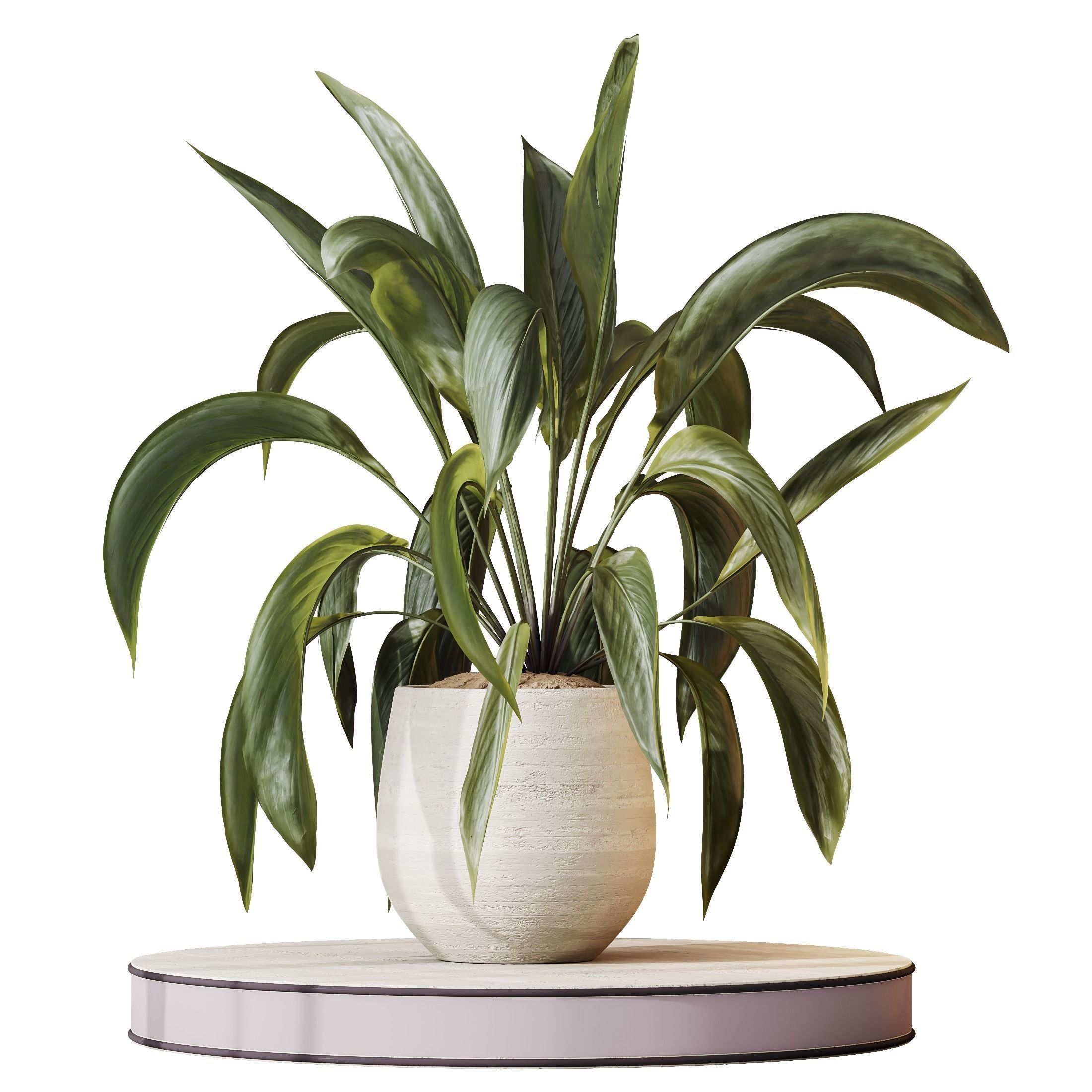12 Different SETS of Plant Indoor SET VOL154 3D Model Collection_15