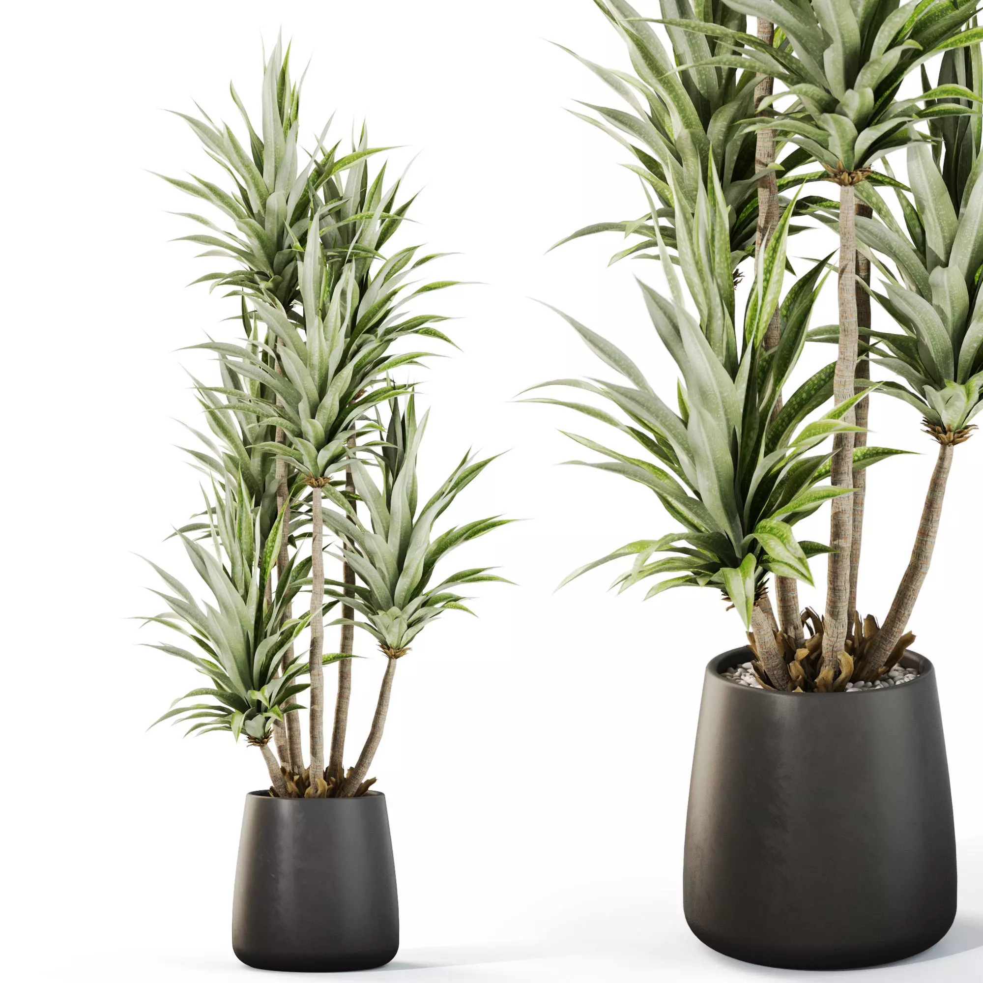 Plants collection 1112 3D model_0