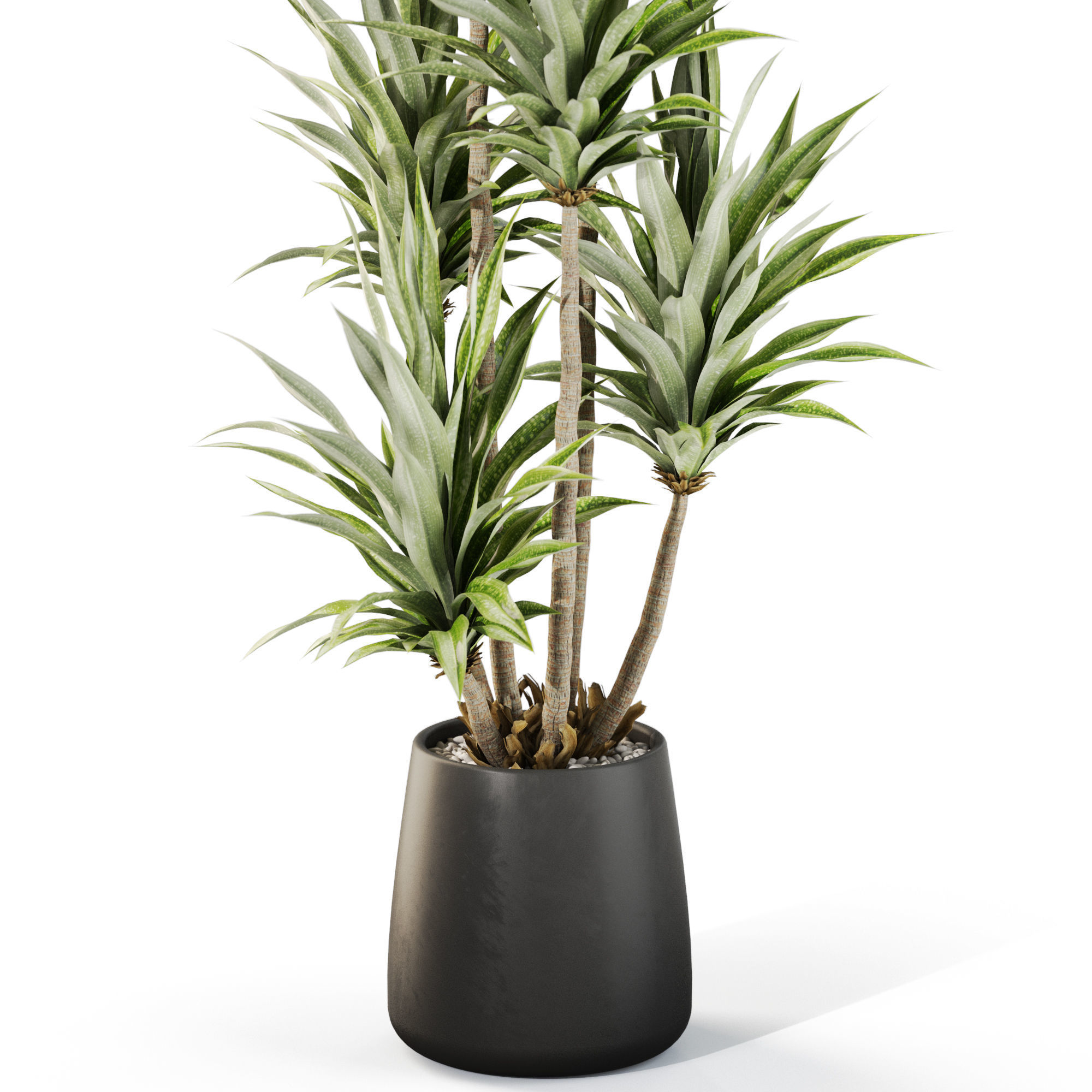 Plants collection 1112 3D model_2