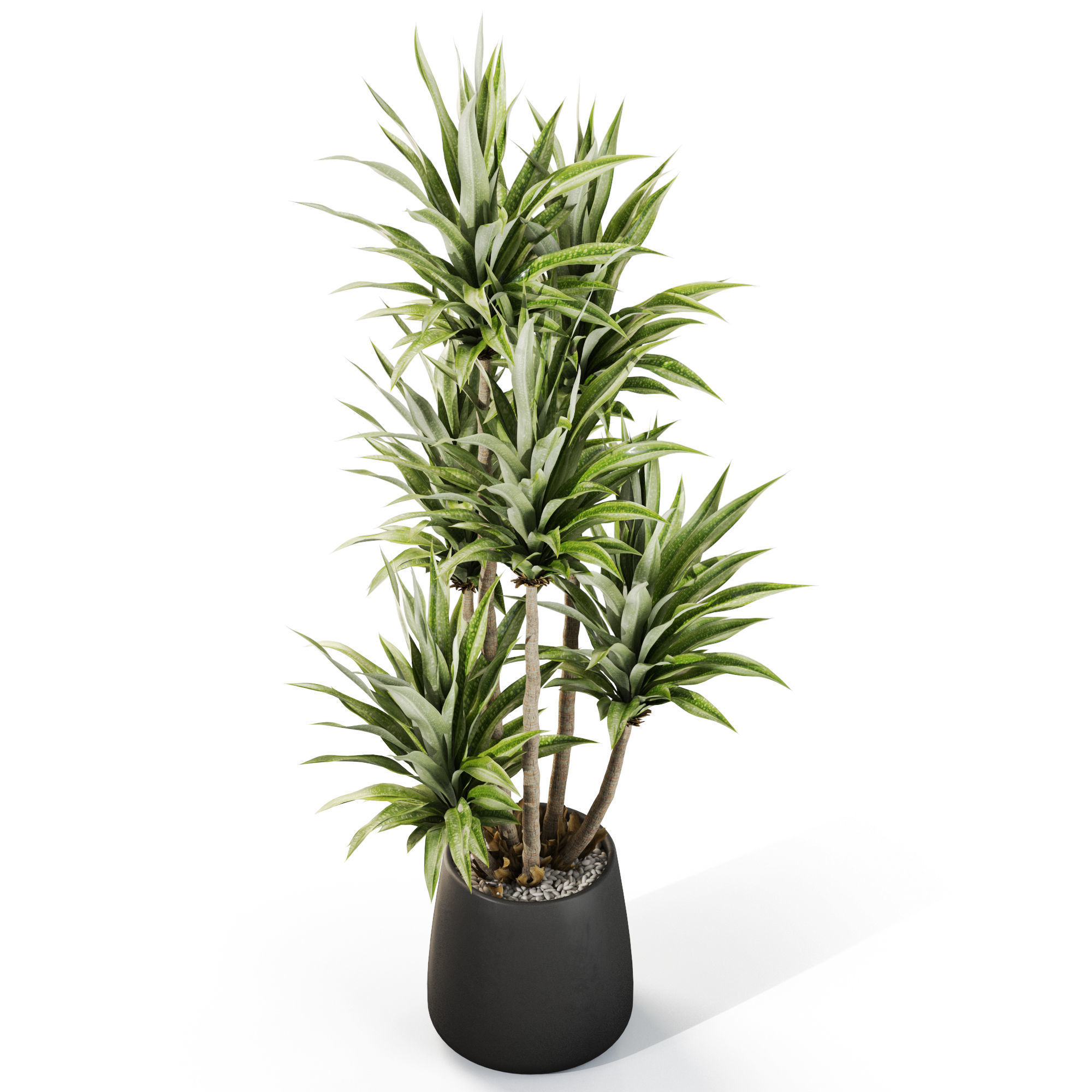 Plants collection 1112 3D model_3