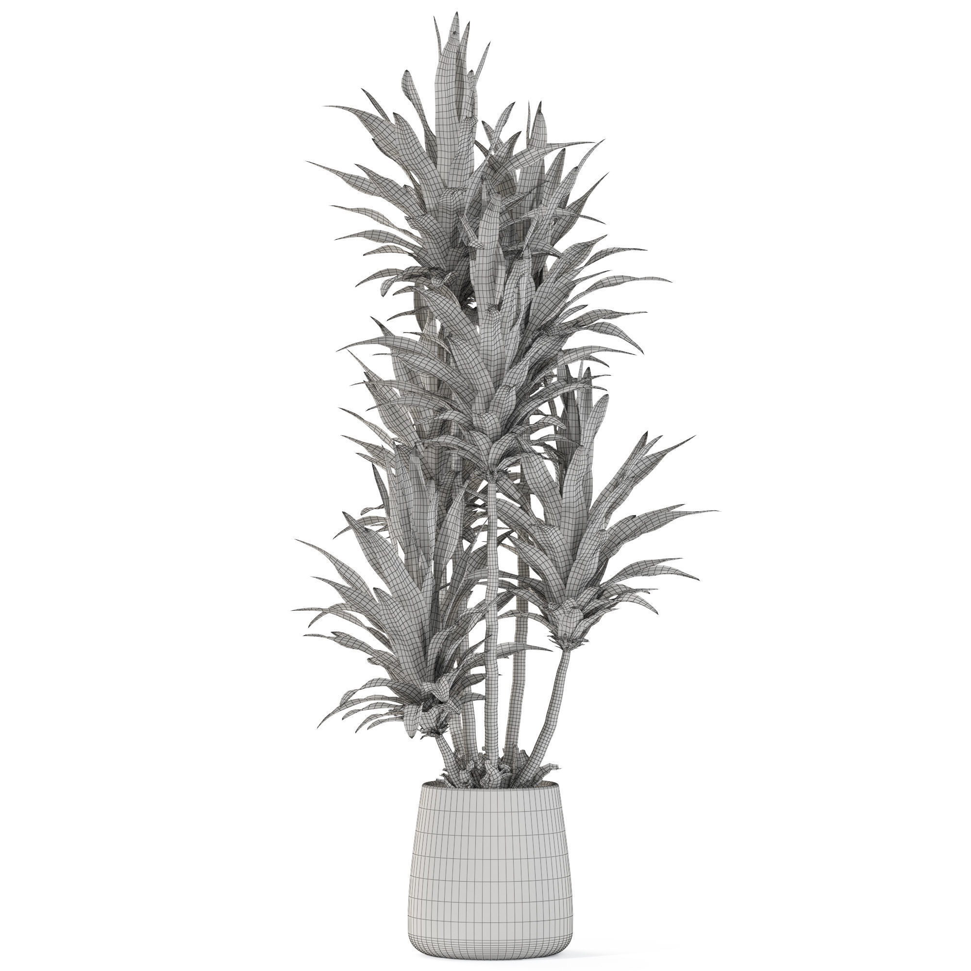 Plants collection 1112 3D model_4