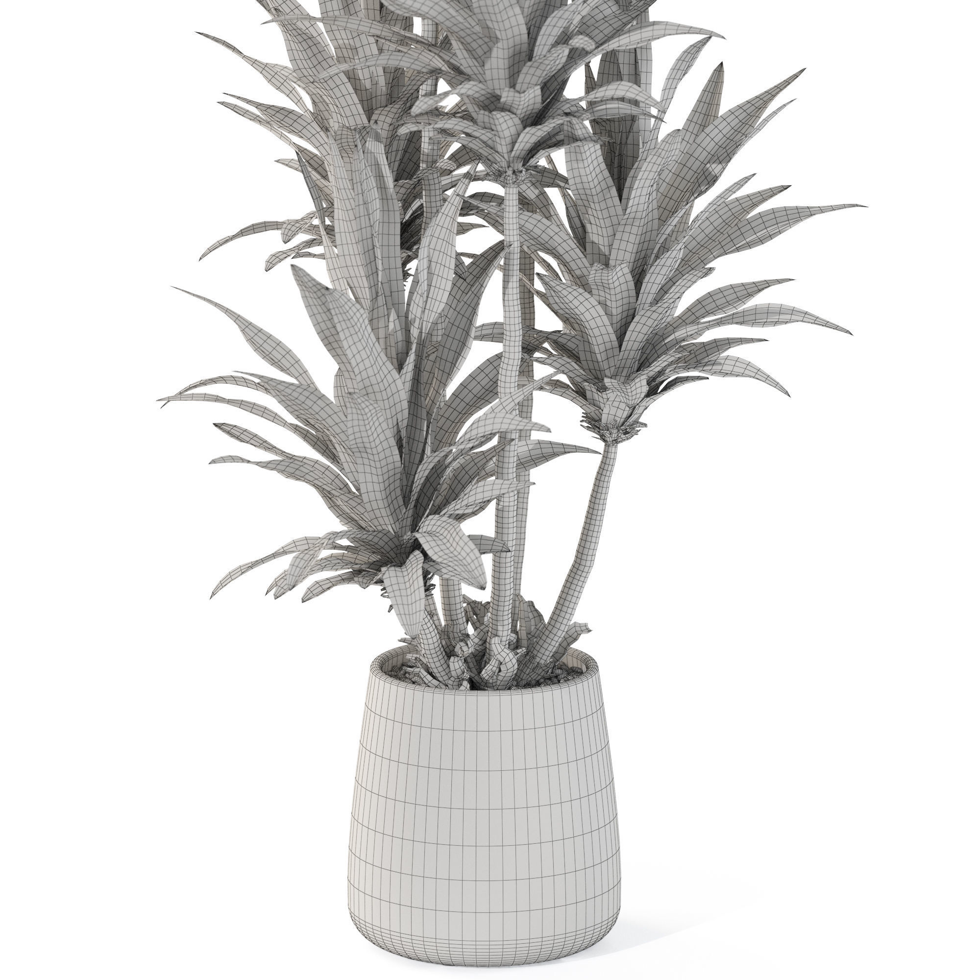 Plants collection 1112 3D model_5