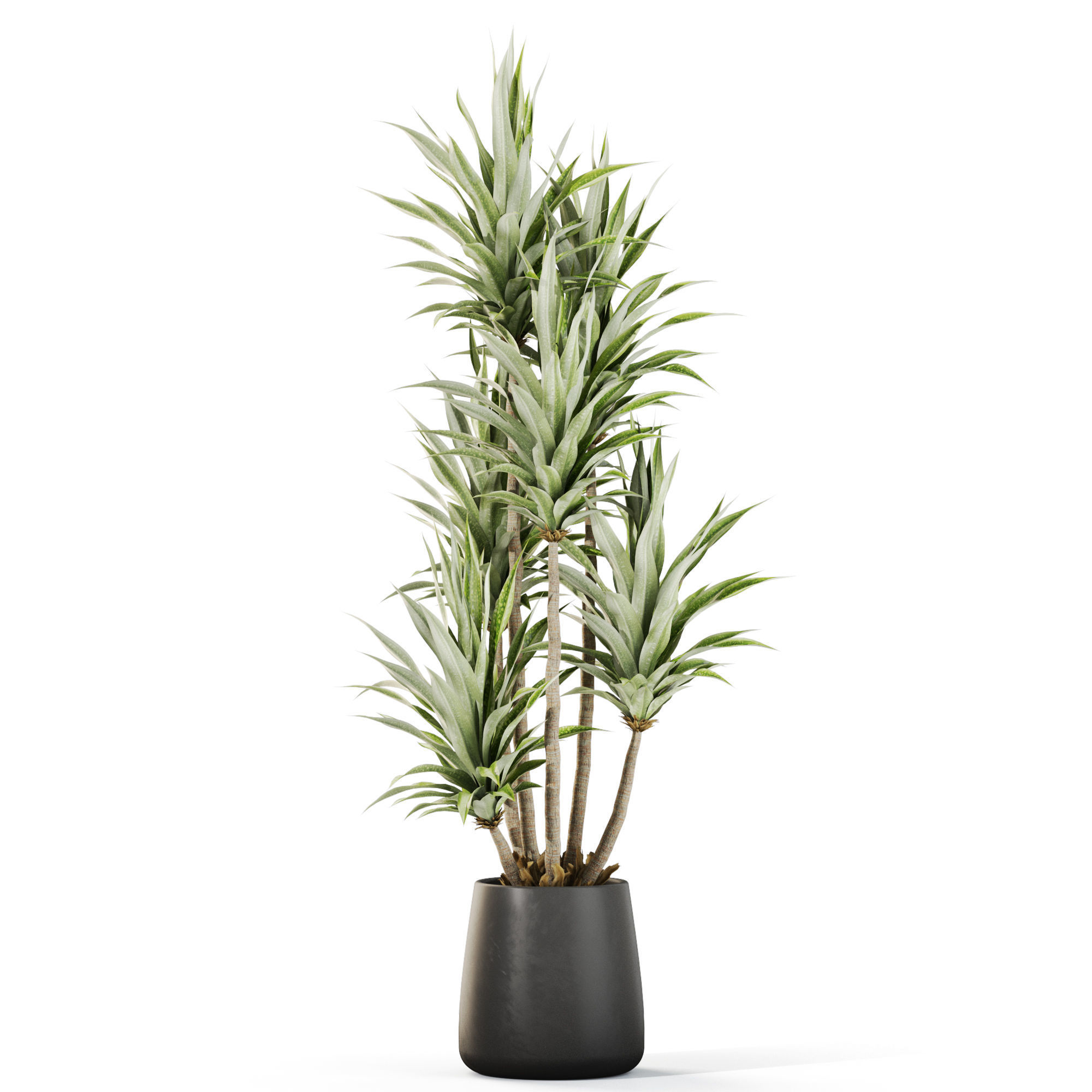 Plants collection 1112 3D model_1
