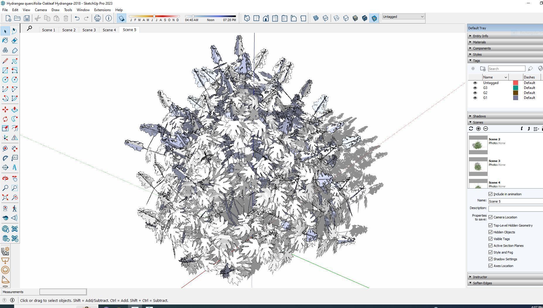 Plant Hydrangea quercifoila-Oakleaf Hydrangea Low-poly 3D model_5