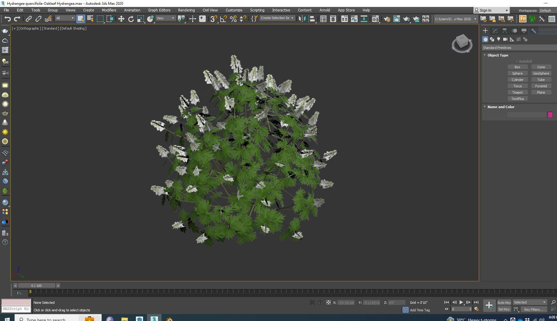 Plant Hydrangea quercifoila-Oakleaf Hydrangea Low-poly 3D model_6