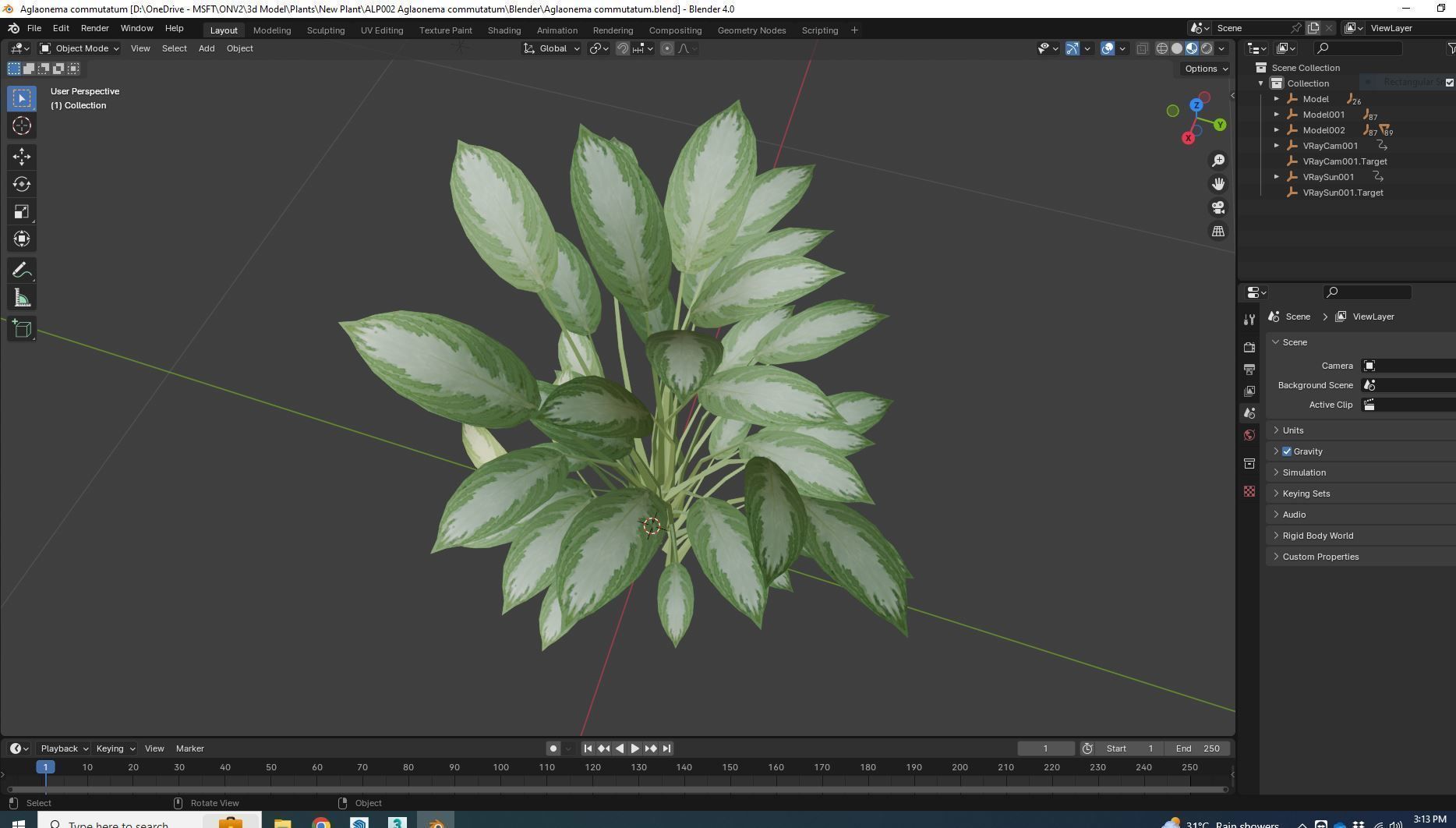 Plant Aglaonema commutatum Low-poly 3D model_6