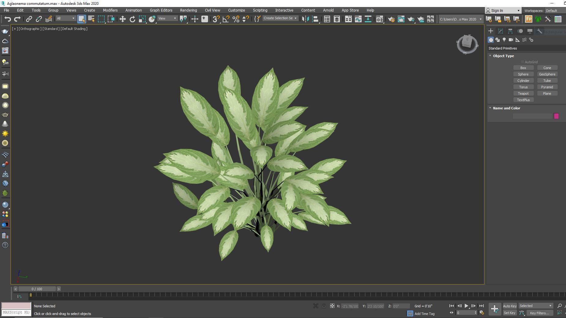 Plant Aglaonema commutatum Low-poly 3D model_7