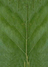 HIGHRISE BUILDING 3D model_30