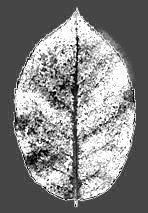 HIGHRISE BUILDING 3D model_29