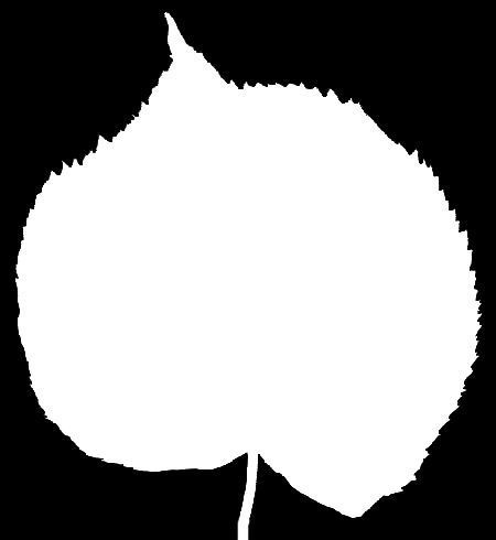 HIGHRISE BUILDING 3D model_27