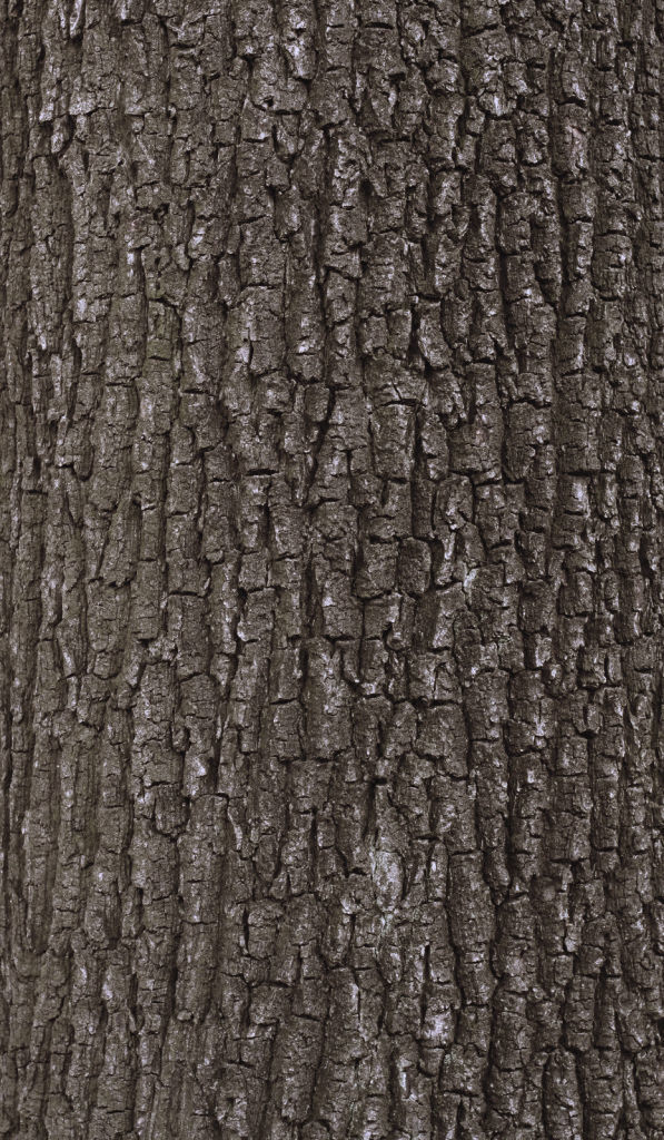 HIGHRISE BUILDING 3D model_22