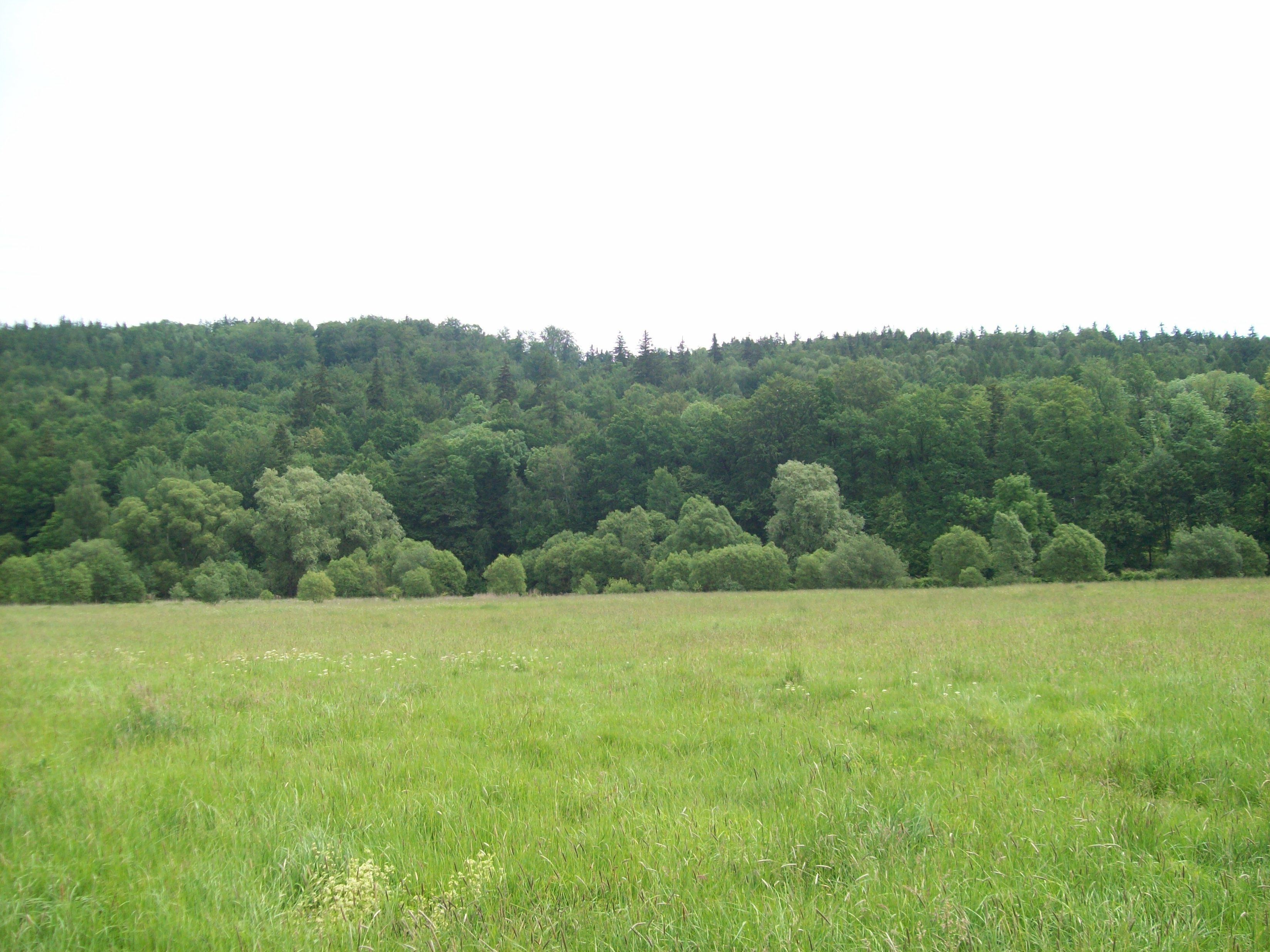 HIGHRISE BUILDING 3D model_32