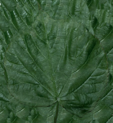 HIGHRISE BUILDING 3D model_31