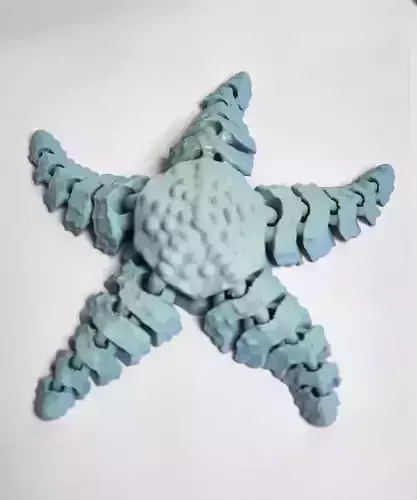 Articulated Sea Star 