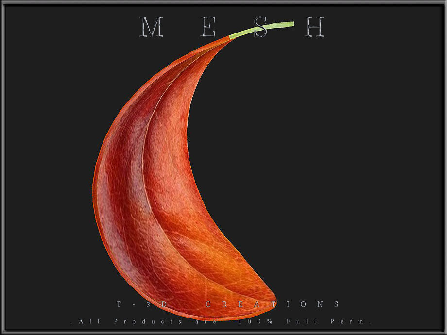 Autumn orange leaf 02 - Curved Low-poly 3D model_1