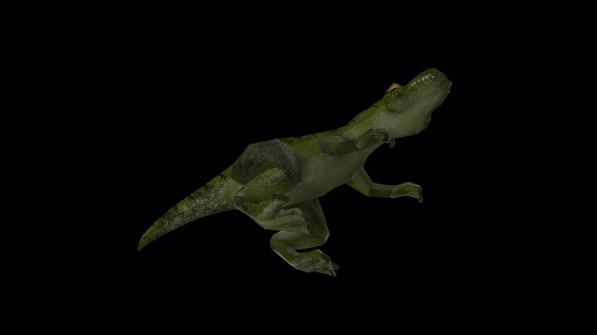 Dinosaur Tyrannosaurus Rex Low-poly 3D model_5