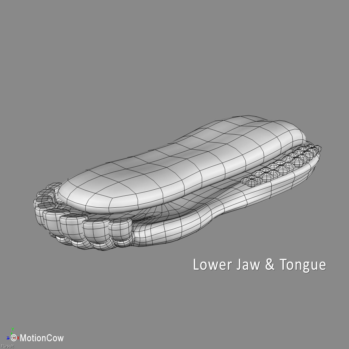 Cow Ayrshire 3D model_22
