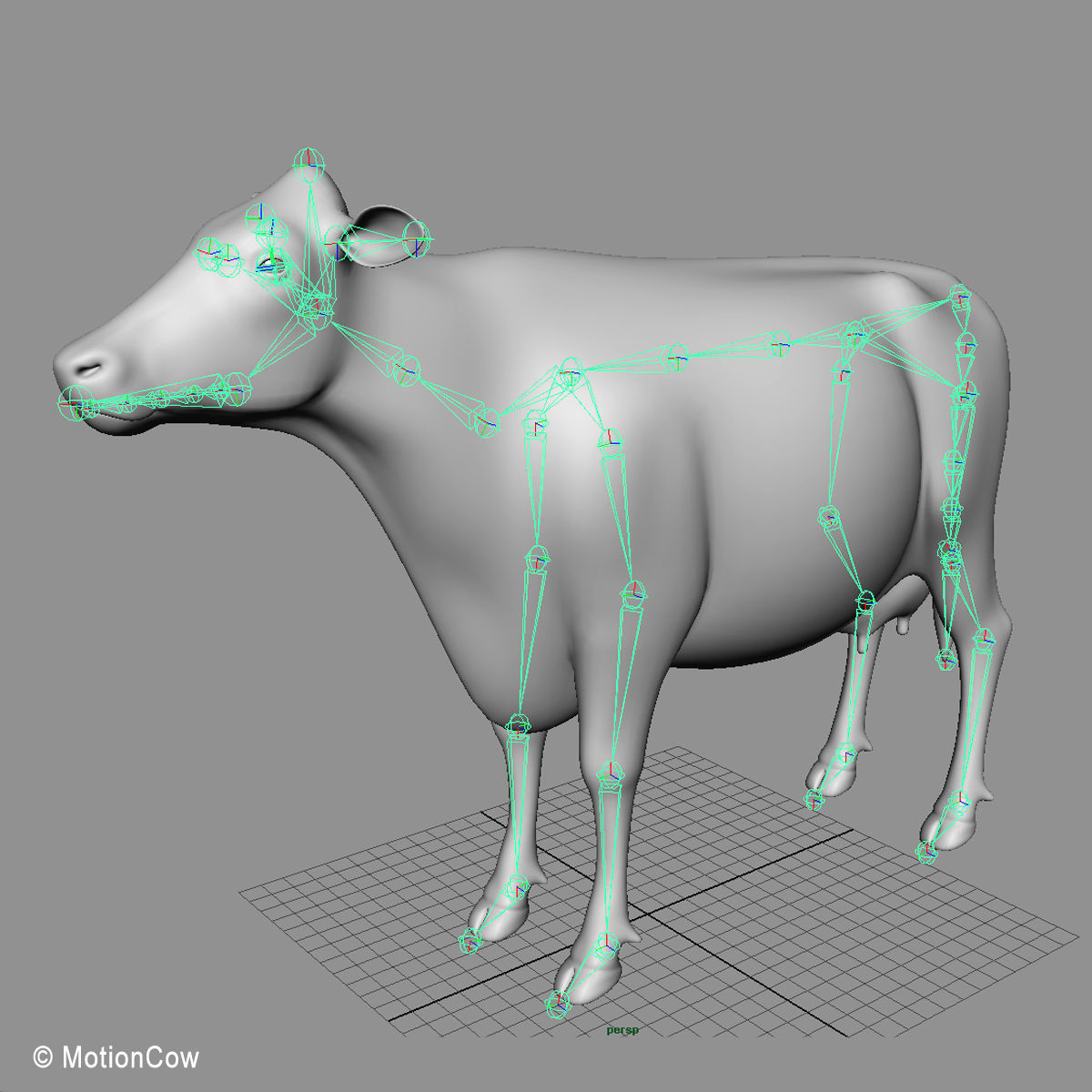 Cow Ayrshire 3D model_18