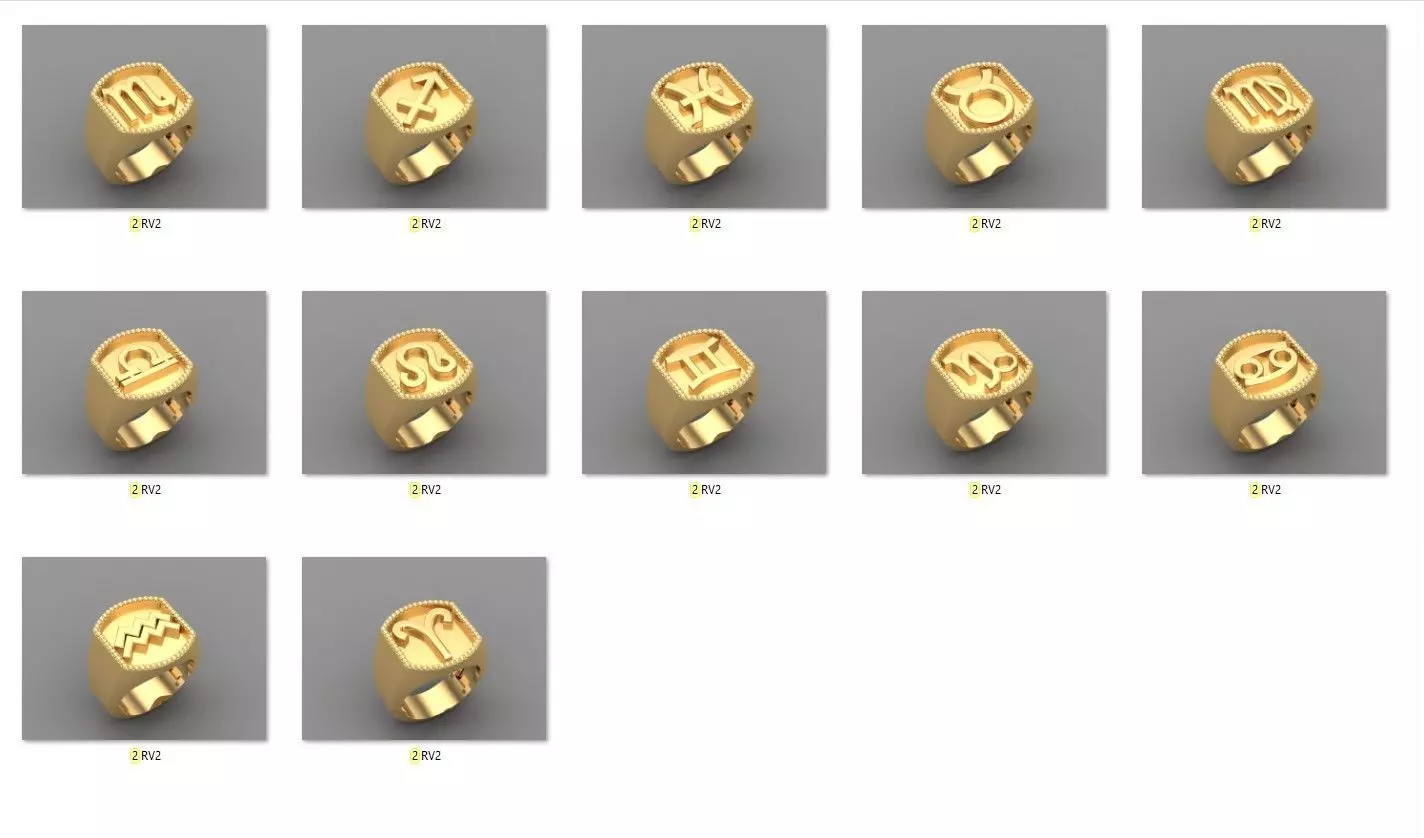 12 Zodiac Men Ring Album for sell stl for print 3D Model Collection_0