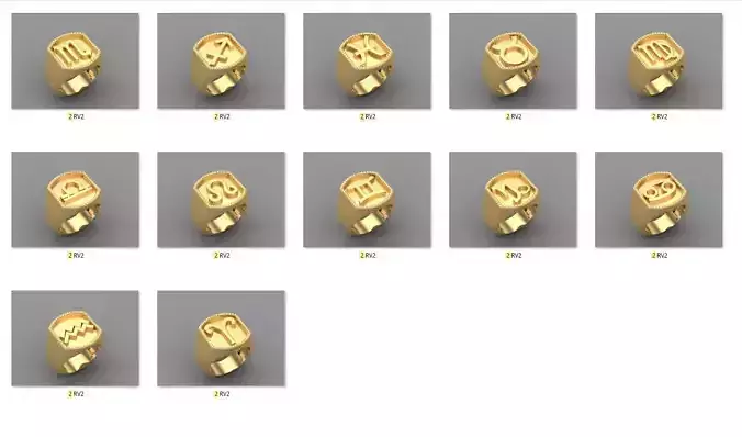 12 Zodiac Men Ring Album for sell stl for print 3D Model Collection