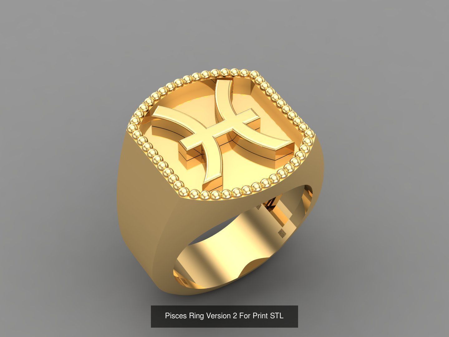12 Zodiac Men Ring Album for sell stl for print 3D Model Collection_6