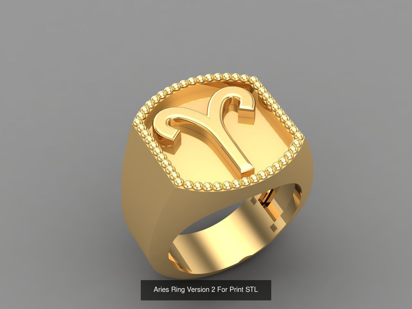 12 Zodiac Men Ring Album for sell stl for print 3D Model Collection_12