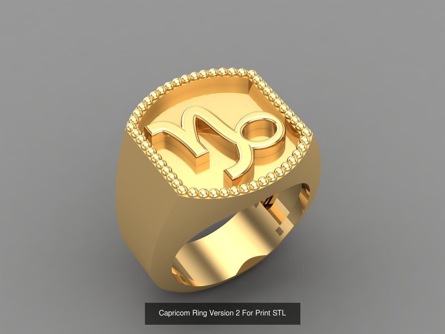 12 Zodiac Men Ring Album for sell stl for print 3D Model Collection_10