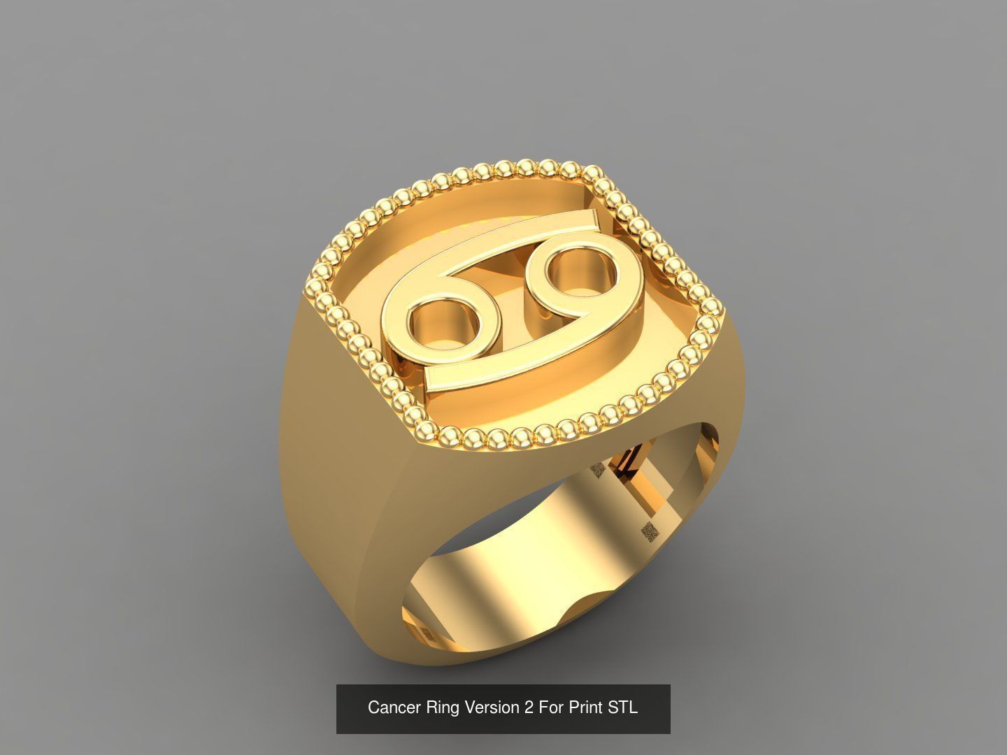 12 Zodiac Men Ring Album for sell stl for print 3D Model Collection_11