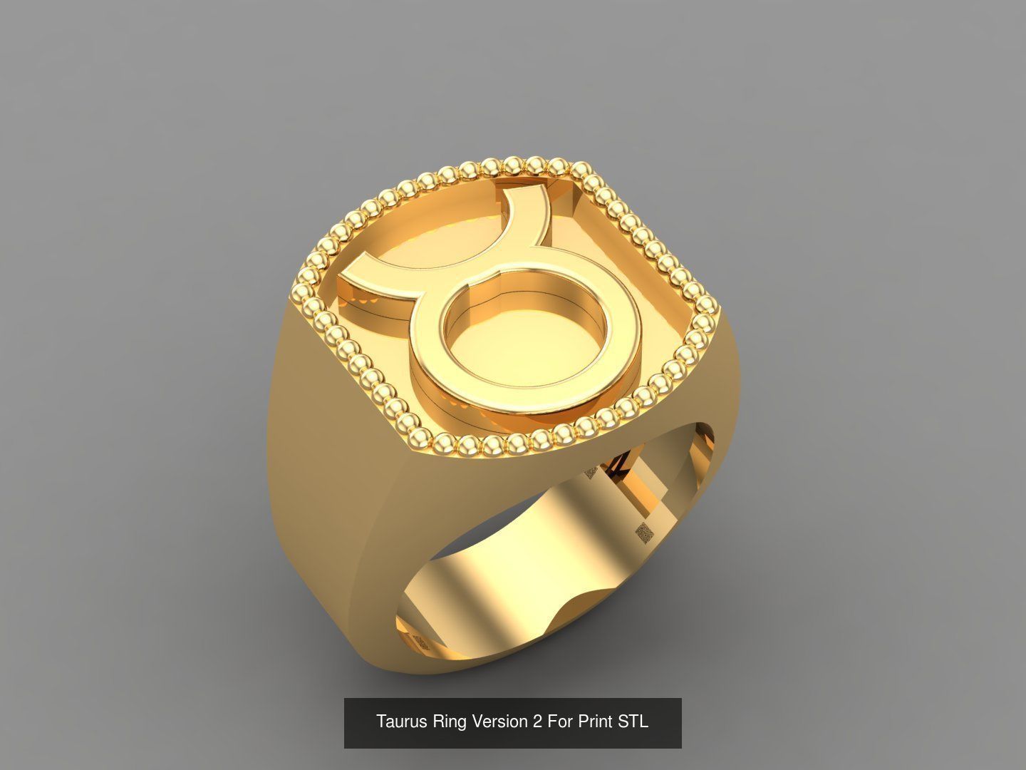 12 Zodiac Men Ring Album for sell stl for print 3D Model Collection_3