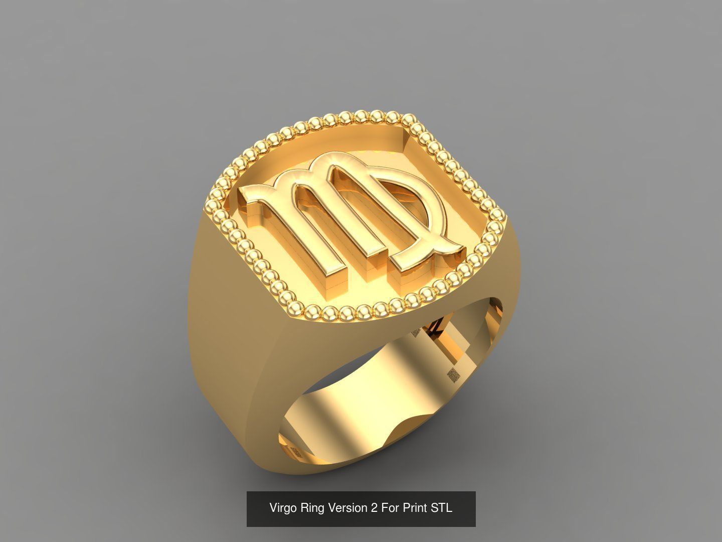 12 Zodiac Men Ring Album for sell stl for print 3D Model Collection_2