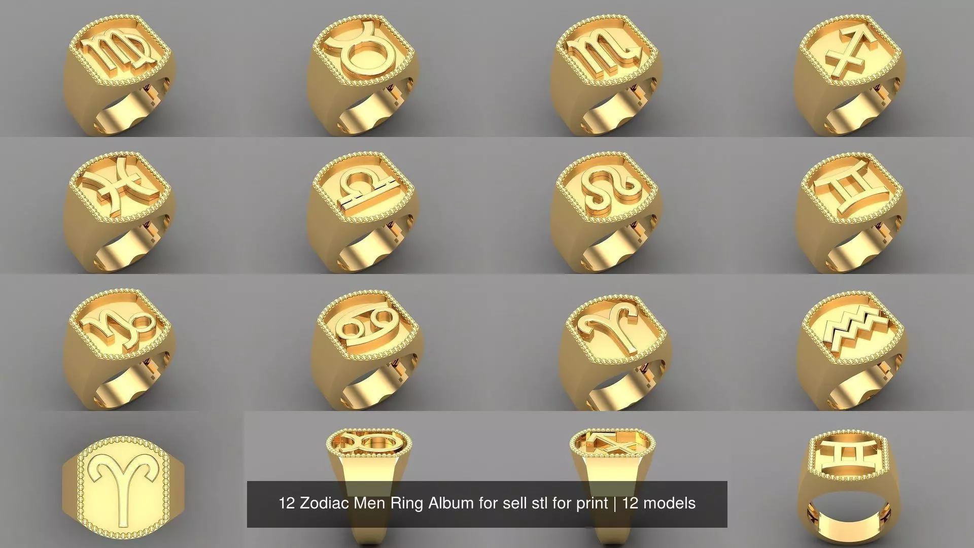 12 Zodiac Men Ring Album for sell stl for print 3D Model Collection_1