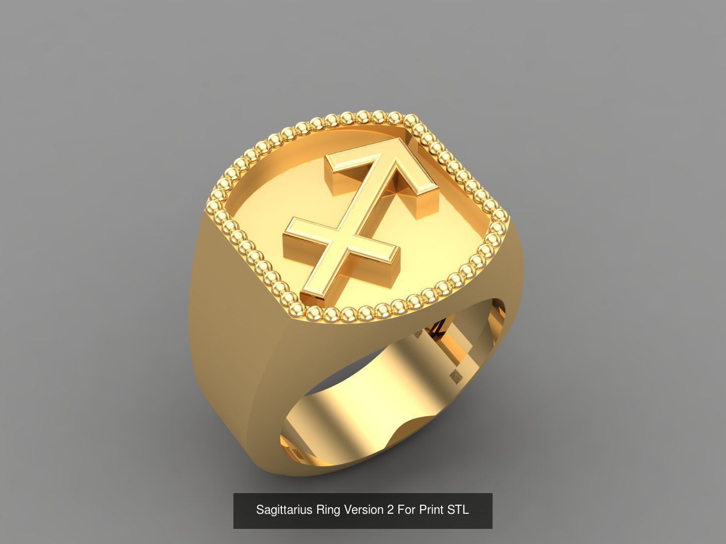 12 Zodiac Men Ring Album for sell stl for print 3D Model Collection_5