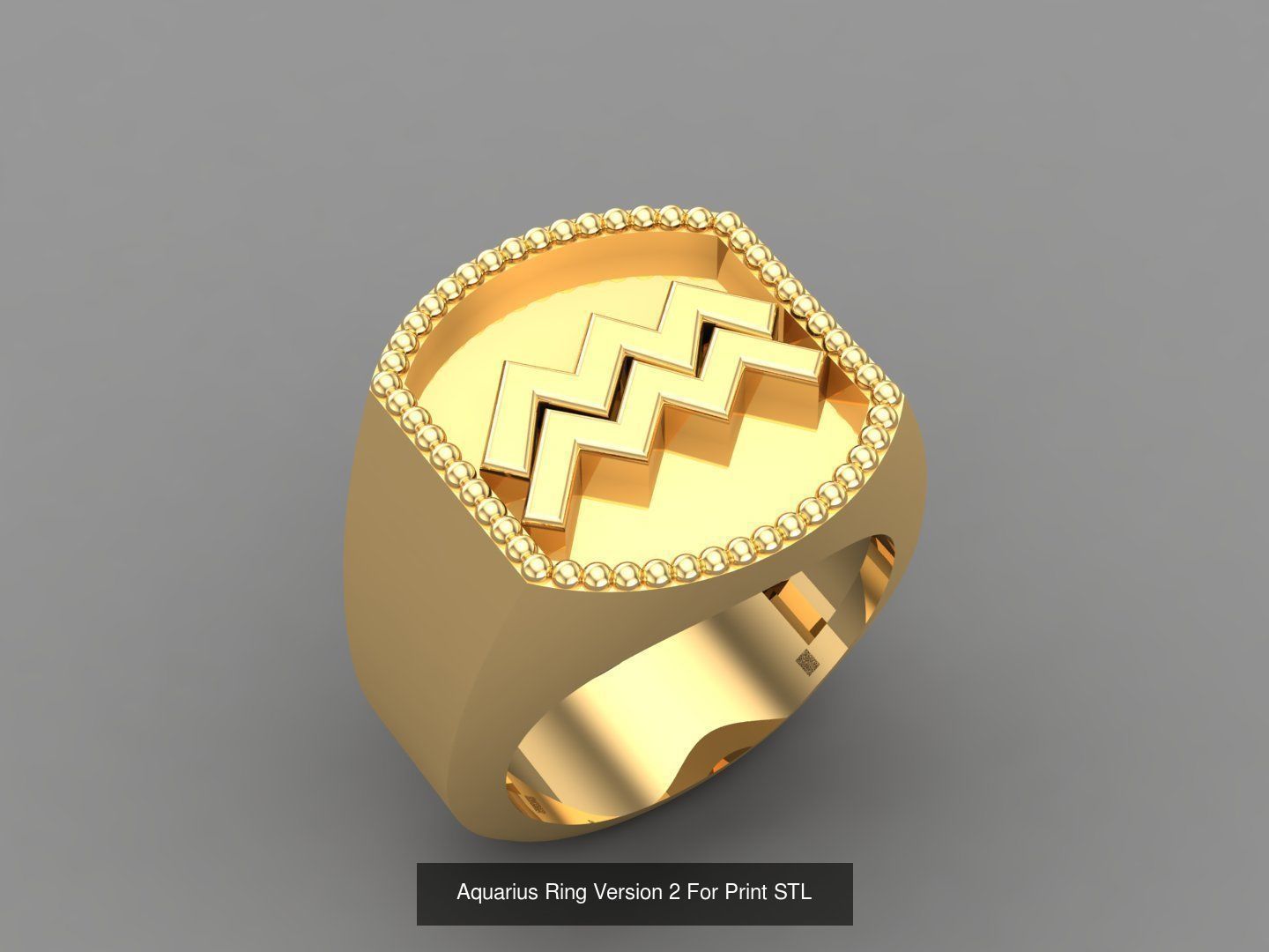 12 Zodiac Men Ring Album for sell stl for print 3D Model Collection_13