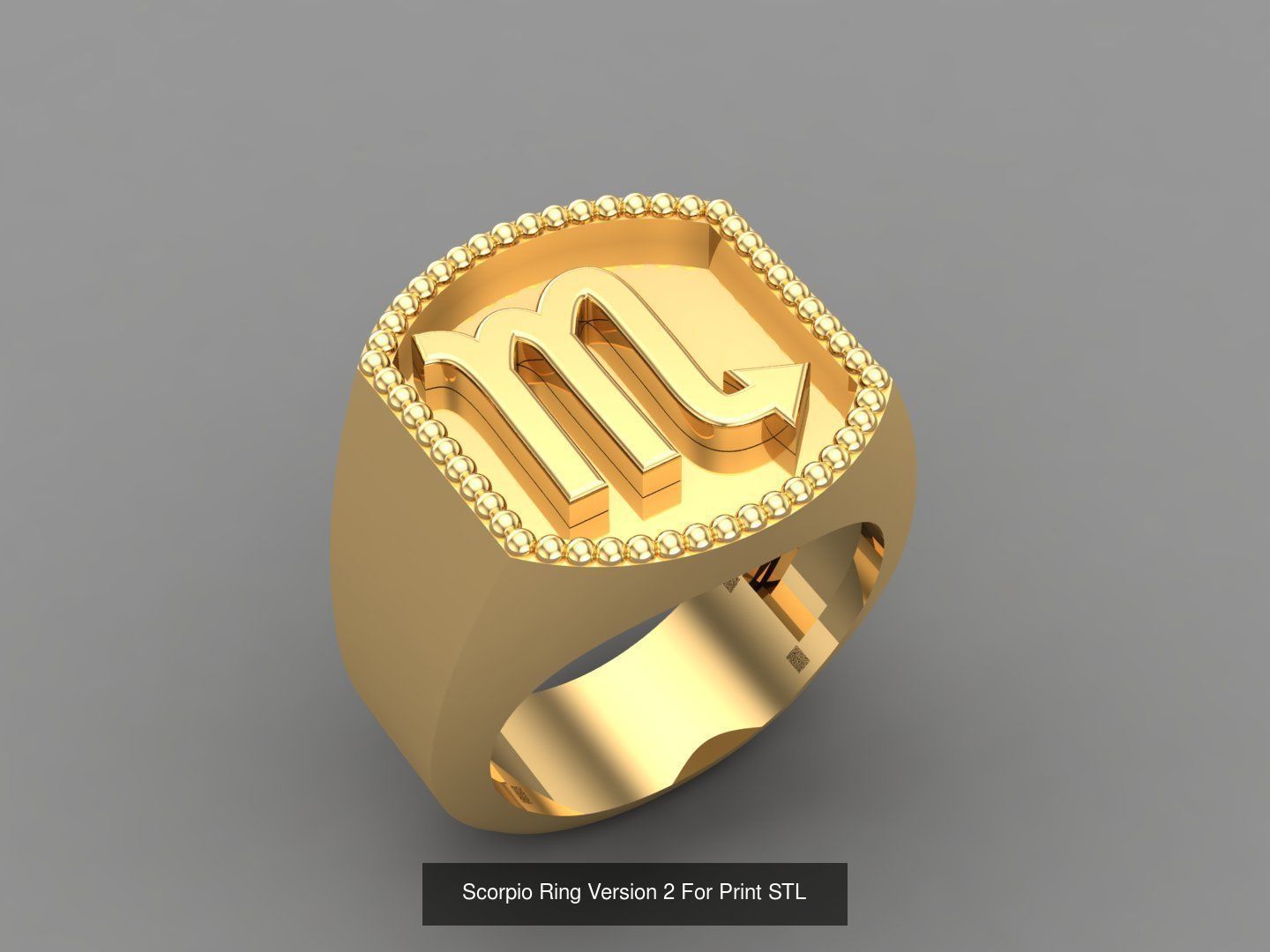 12 Zodiac Men Ring Album for sell stl for print 3D Model Collection_4