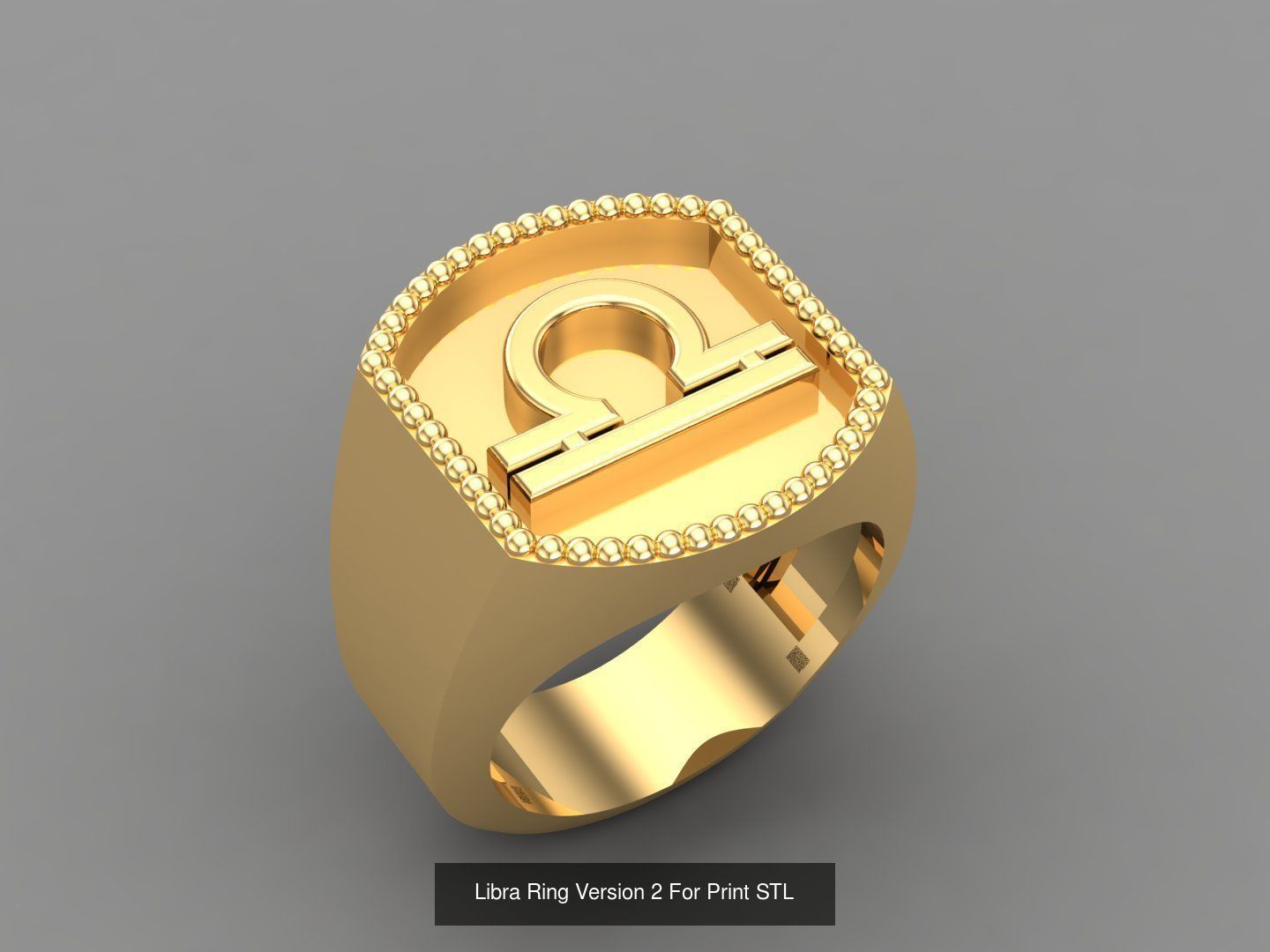 12 Zodiac Men Ring Album for sell stl for print 3D Model Collection_7