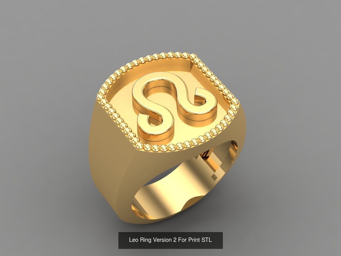 12 Zodiac Men Ring Album for sell stl for print 3D Model Collection_8