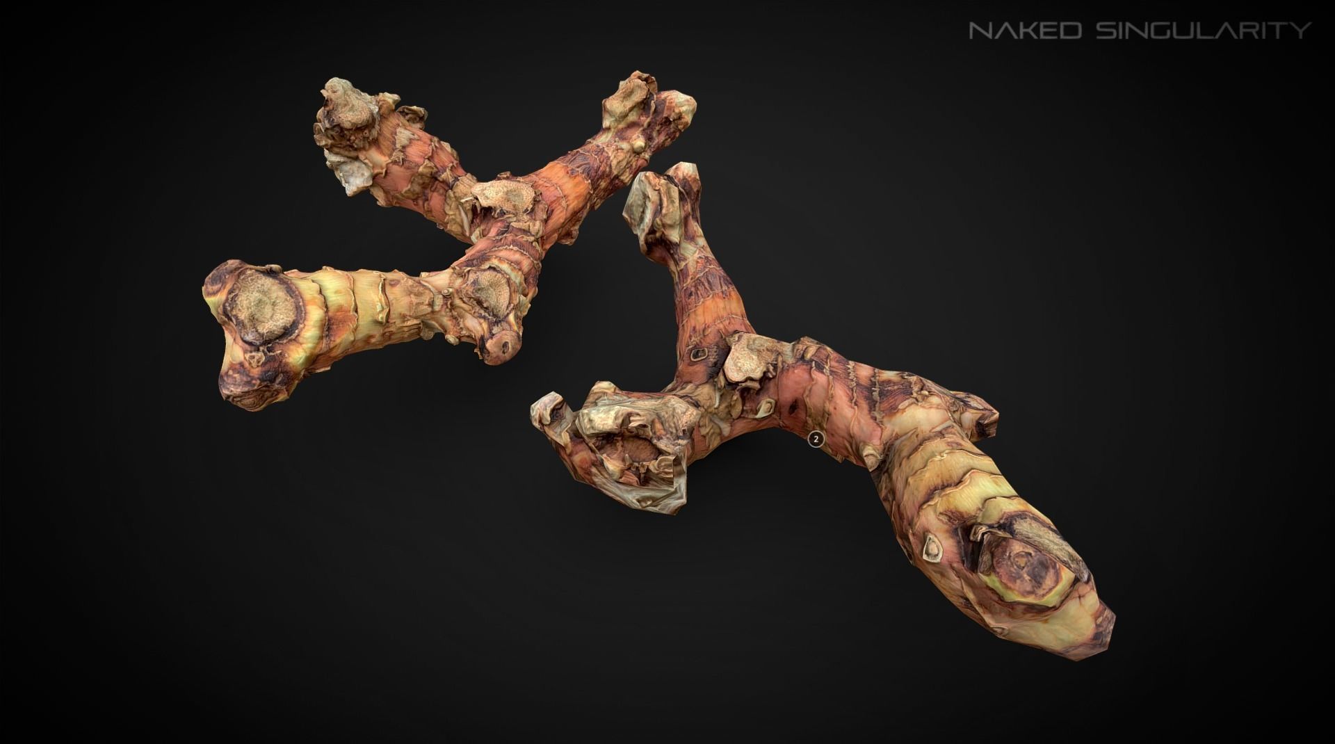 3D Scan fruit - Galangal root photogrammetry 4K Low-poly 3D model_2