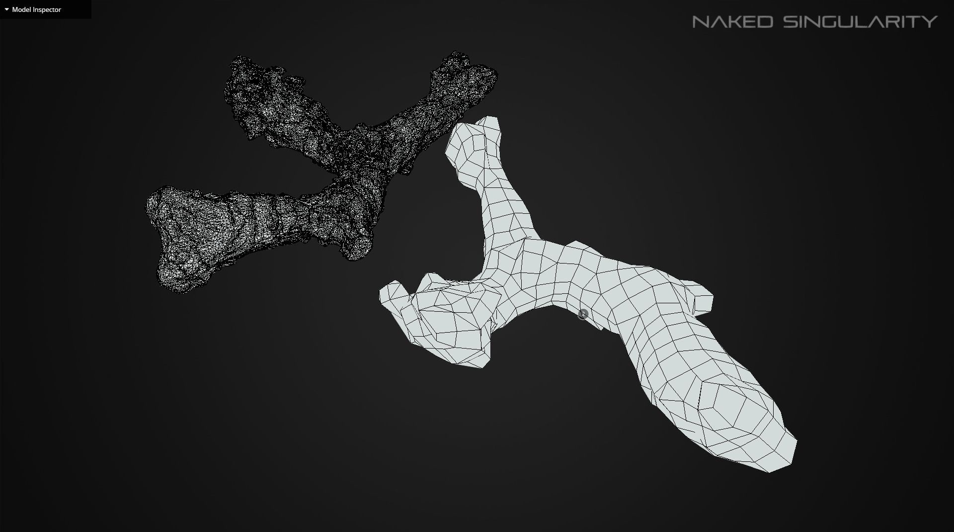 3D Scan fruit - Galangal root photogrammetry 4K Low-poly 3D model_9