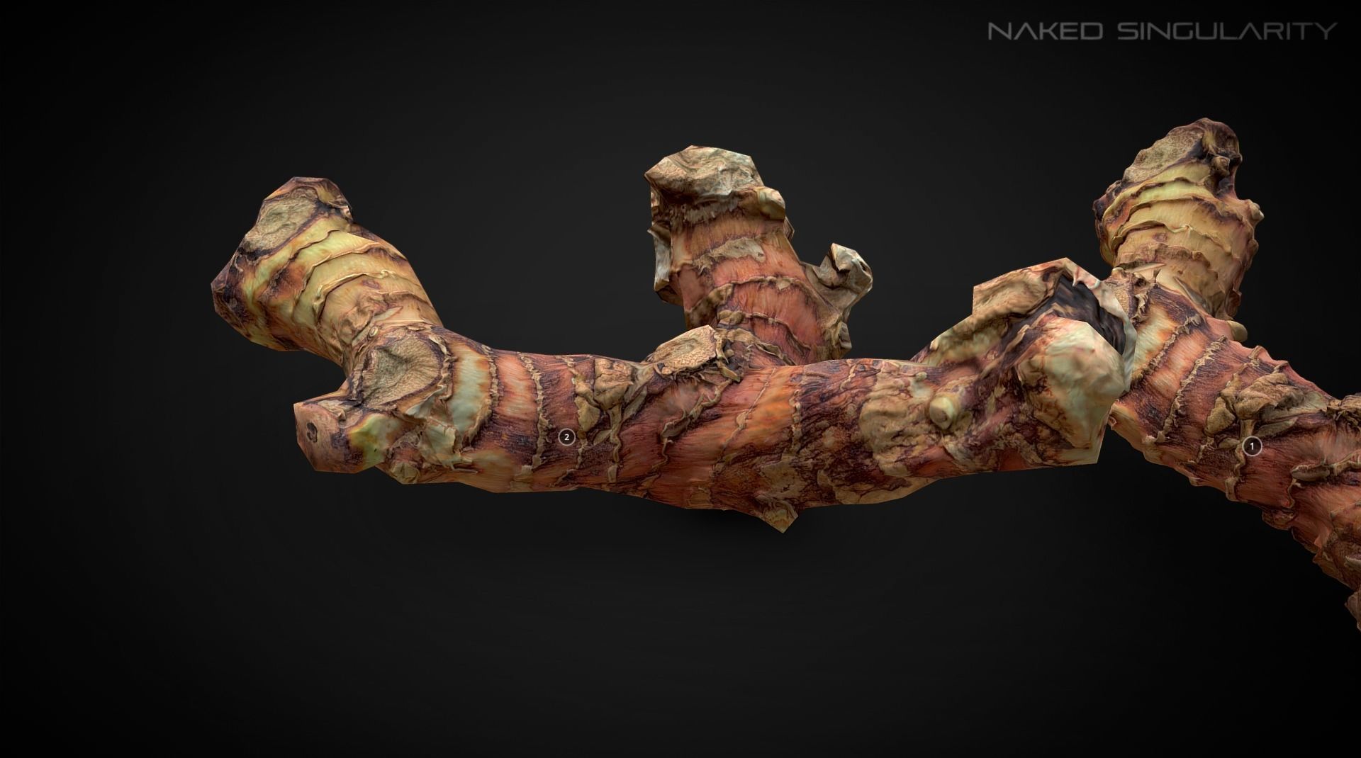 3D Scan fruit - Galangal root photogrammetry 4K Low-poly 3D model_7