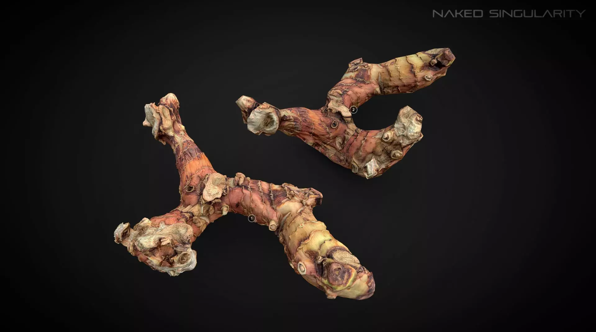 3D Scan fruit - Galangal root photogrammetry 4K Low-poly 3D model_0