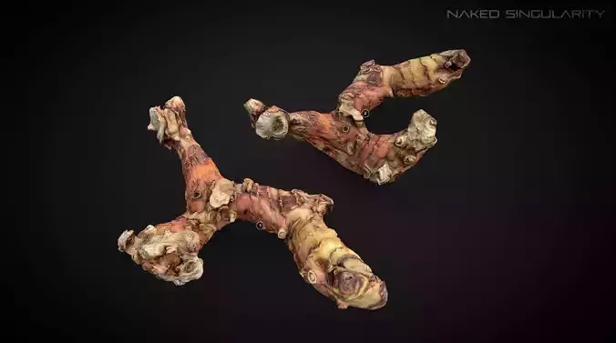 3D Scan fruit - Galangal root photogrammetry 4K