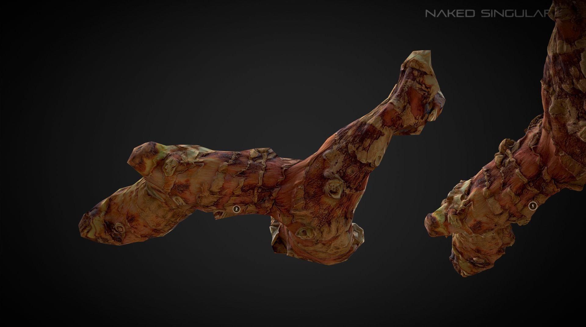 3D Scan fruit - Galangal root photogrammetry 4K Low-poly 3D model_1